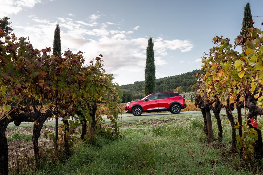 Peugeot 2008 2019 года  (WW) (фото 24 из 42)